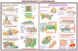 ПС09 Безопасность труда при деревообработке (бумага, А2, 5 листов) - Плакаты - Безопасность труда - Магазин охраны труда и техники безопасности stroiplakat.ru